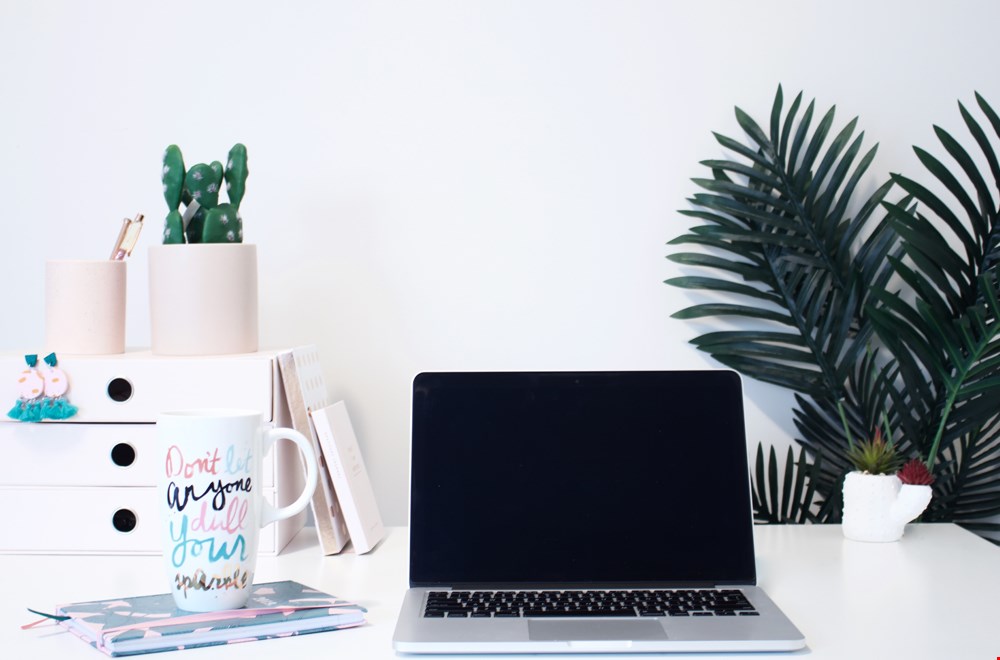 Groen in je kantoor Groen in je kantoor